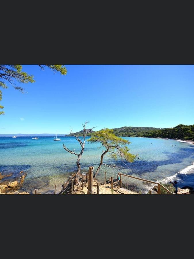 Appartement Pieds Dans L'Eau Vue Mer Bormes Les Mimosas Ngoại thất bức ảnh