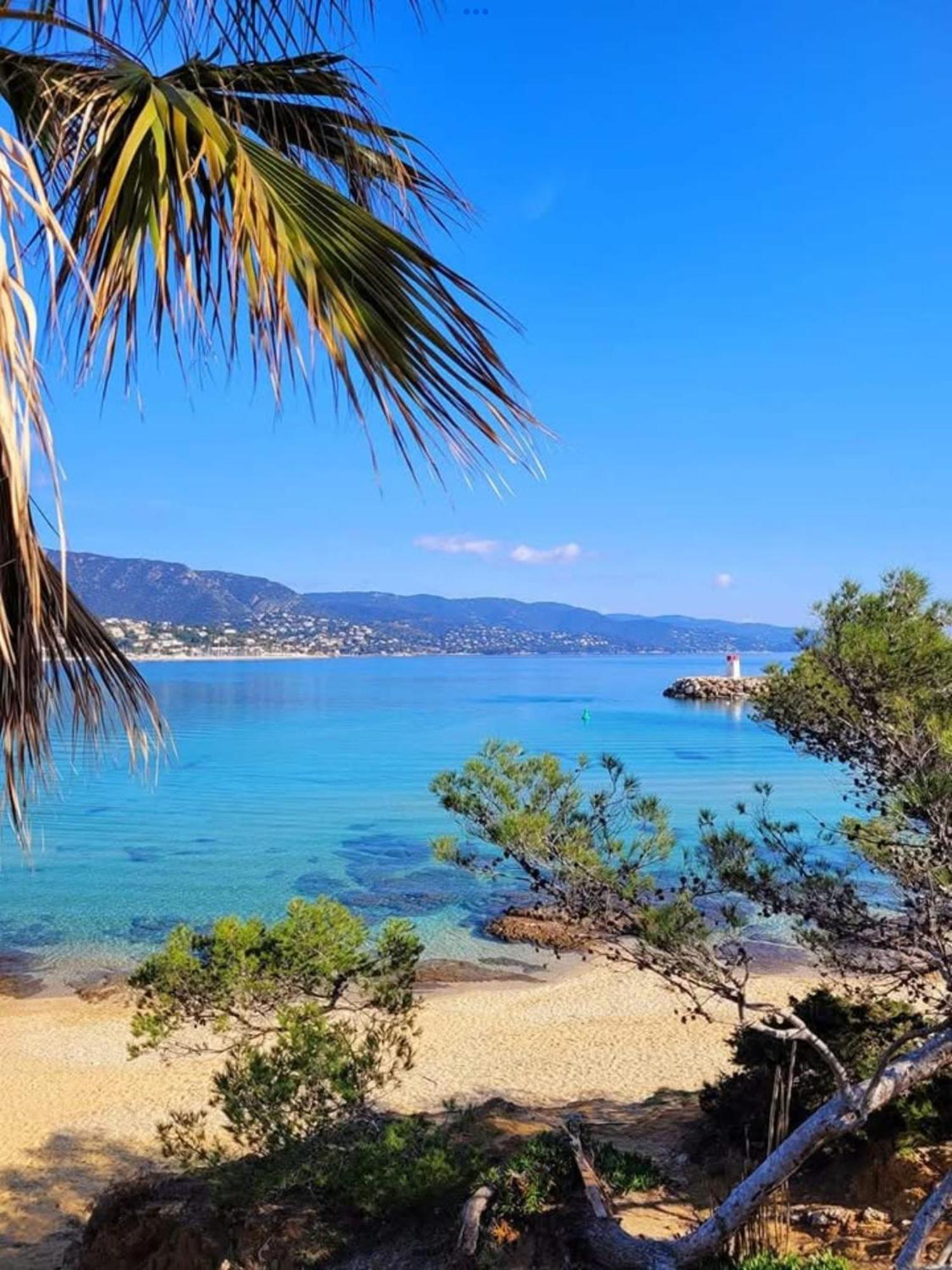 Appartement Pieds Dans L'Eau Vue Mer Bormes Les Mimosas Ngoại thất bức ảnh